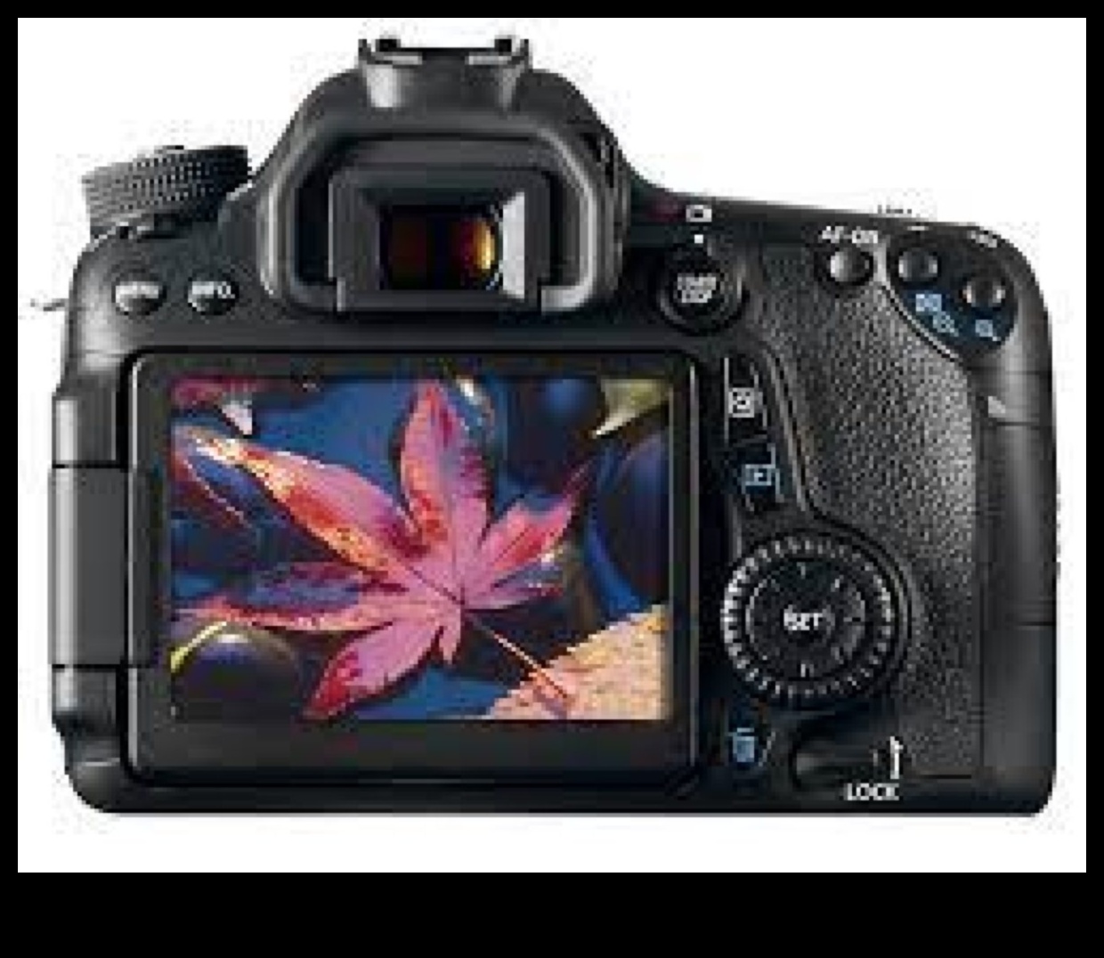 עושר אופטי: שליטה במלאכה שלך עם עדשות מצלמה פרימיום