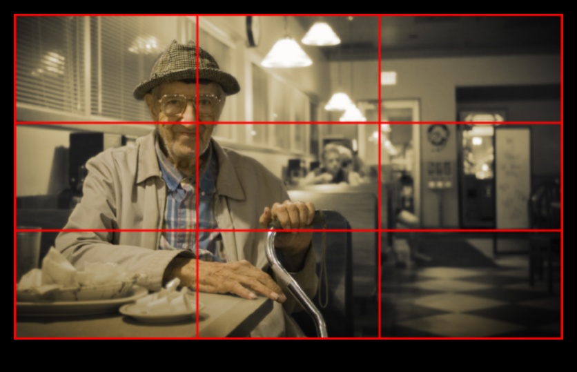 מסגור הצילום המושלם: מדריכי צילום שוחררו