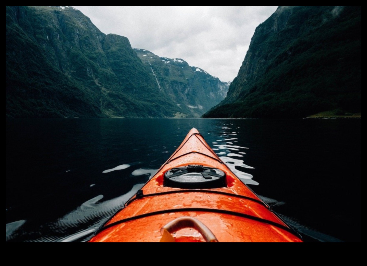 מסגור הצילום המושלם: מדריכי צילום שוחררו