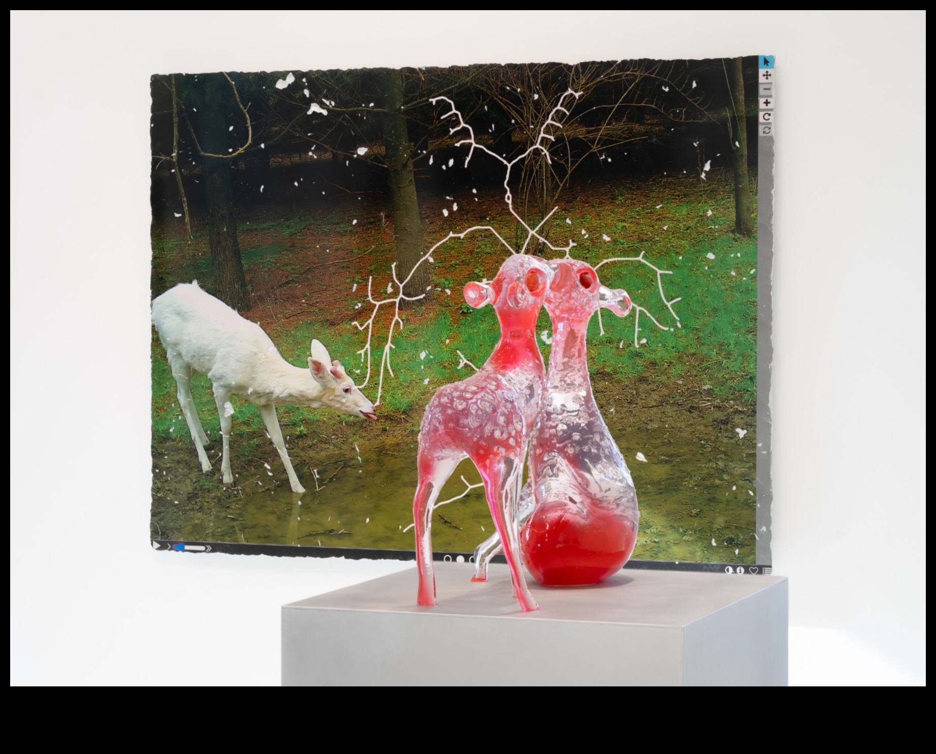 Focus Fusion: מיזוג אומנות עם עדשות מתקדמות