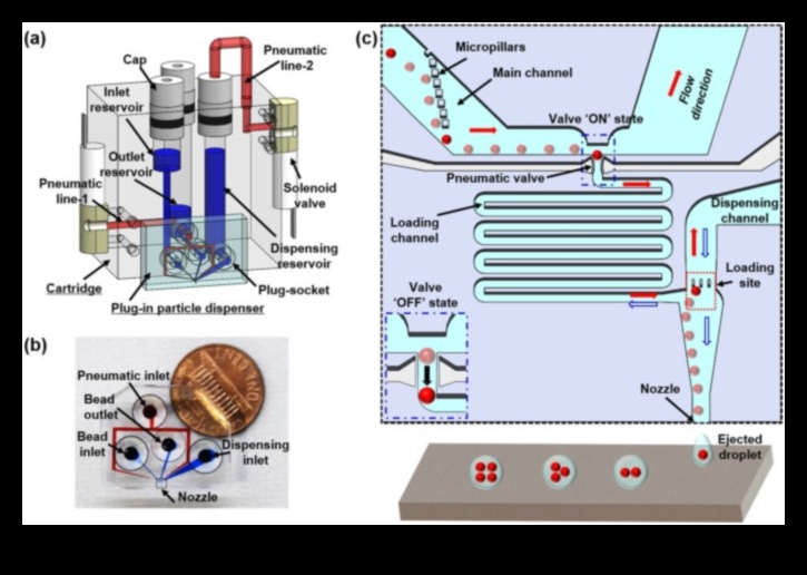 טיפות דינמיות: שליטה בטכניקות ללכידת האלגנטיות של חרוזי מים