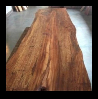 מהיער לבית: יצירה עם אלמנטים מעץ טבעי