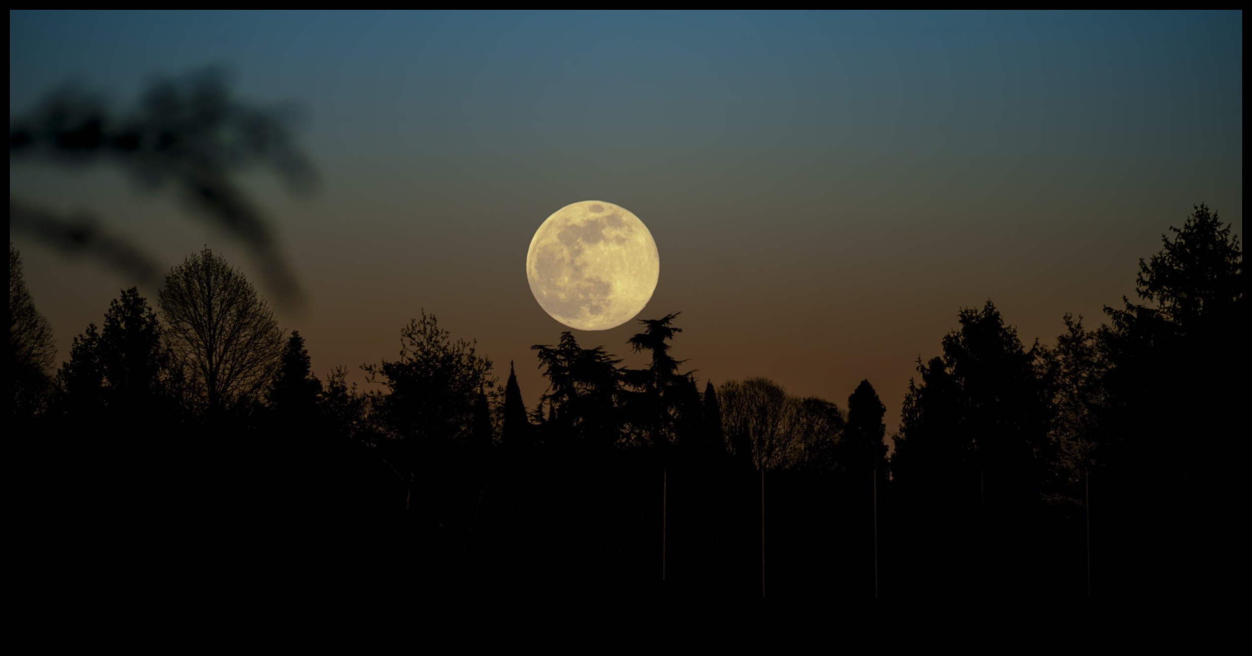 אור ירח מיסטי: שליטה בטכניקות ללכידת הירח במלוא תפארתו