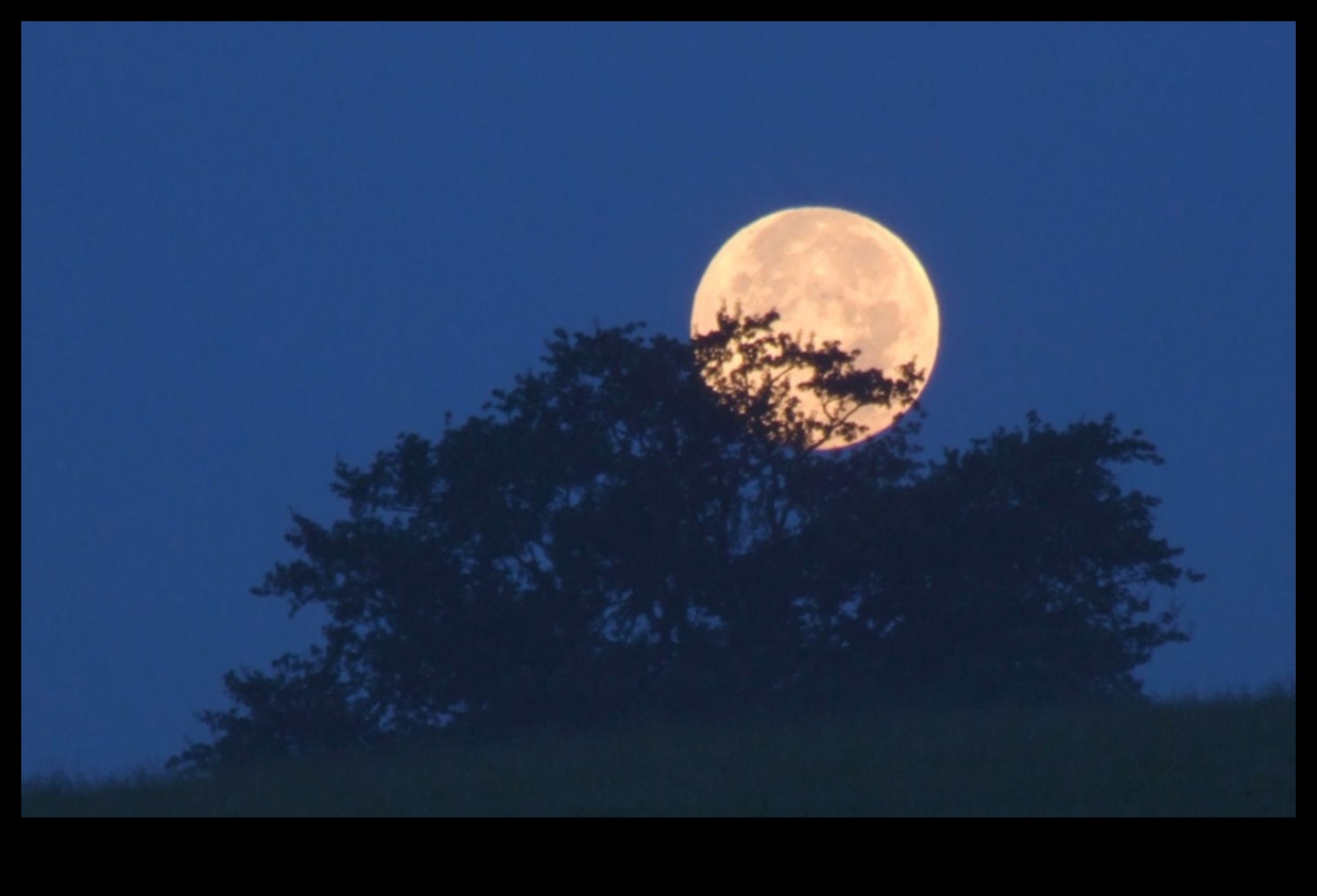 אור ירח מיסטי: שליטה בטכניקות ללכידת הירח במלוא תפארתו
