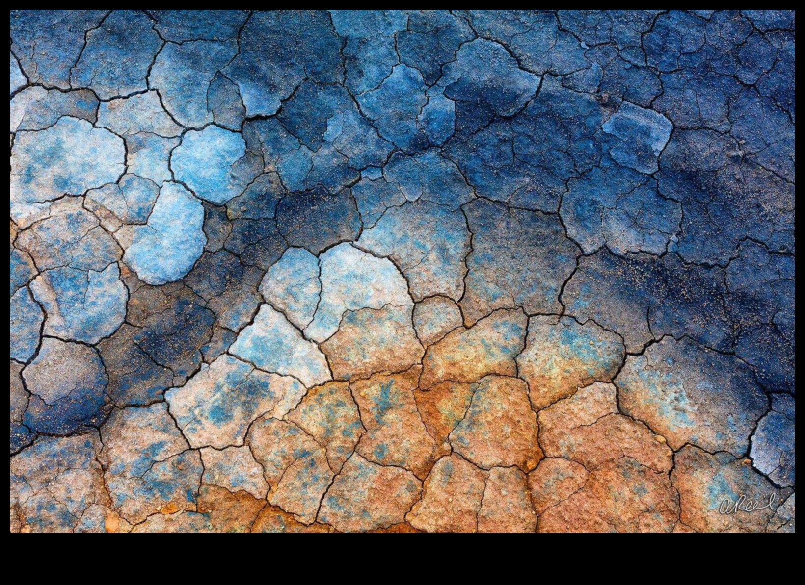 תקצירי צילום עשה זאת בעצמך: חקירת ביטוי יצירתי