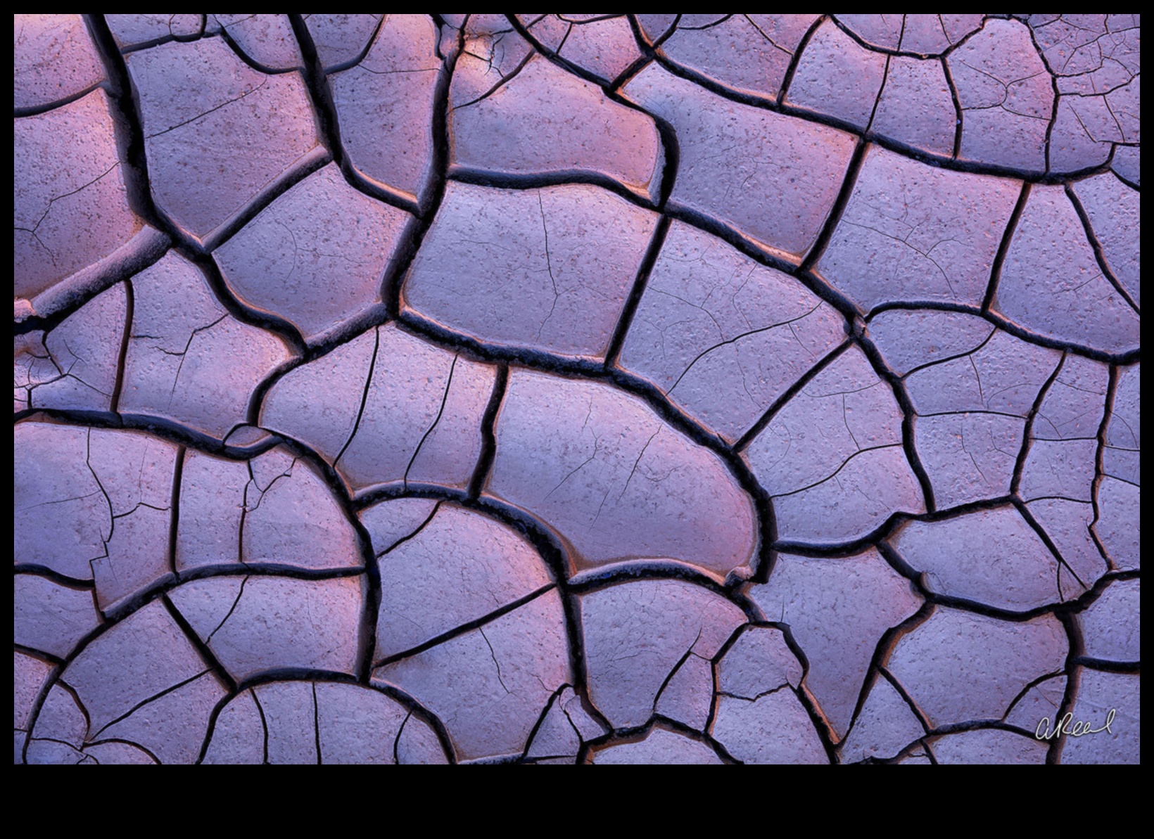 תקצירי צילום עשה זאת בעצמך: חקירת ביטוי יצירתי