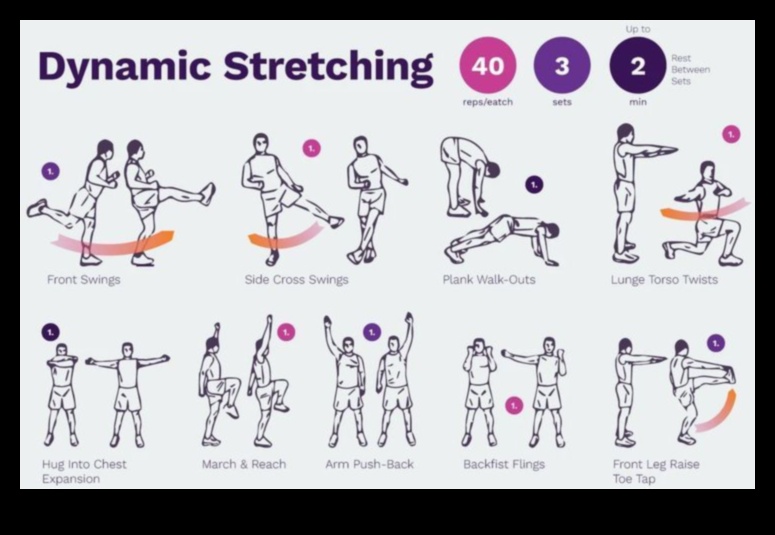 Dynamic Stretch Fusion: שילוב של גמישות ותנועה בחימום שלך
