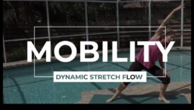 Dynamic Stretch Fusion: שילוב של גמישות ותנועה בחימום שלך