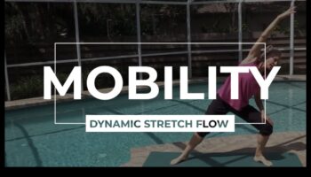 Dynamic Stretch Fusion: שילוב של גמישות ותנועה בחימום שלך