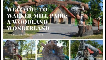 ארץ הפלאות המיוערת: אימוני חוץ ביערות קסומים