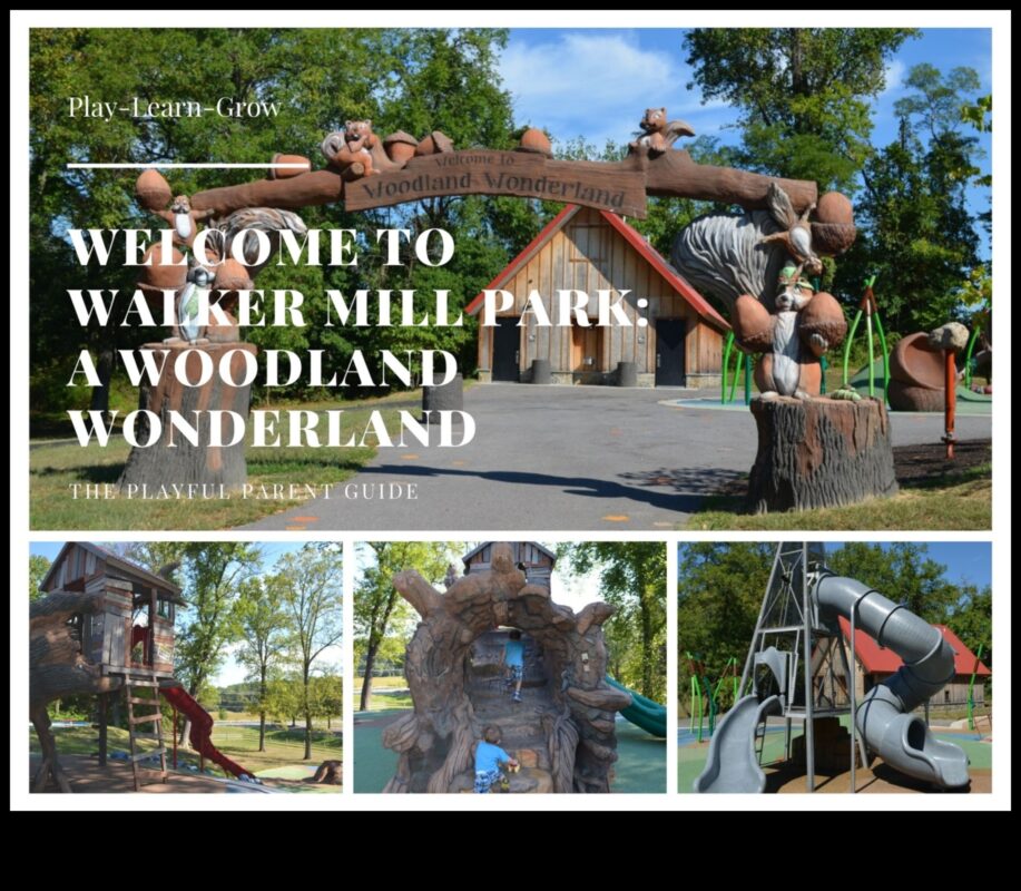 ארץ הפלאות המיוערת: אימוני חוץ ביערות קסומים