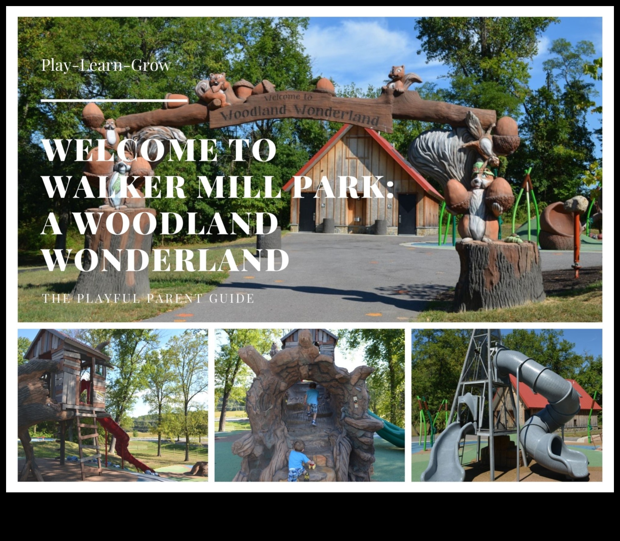 ארץ הפלאות המיוערת: אימוני חוץ ביערות קסומים