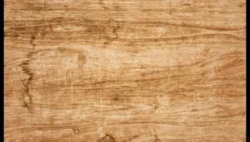 מהיער לבית: יצירה עם אלמנטים מעץ טבעי