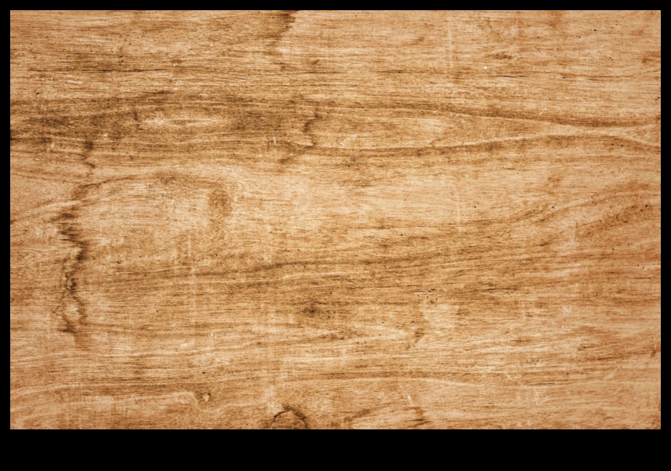 מהיער לבית: יצירה עם אלמנטים מעץ טבעי