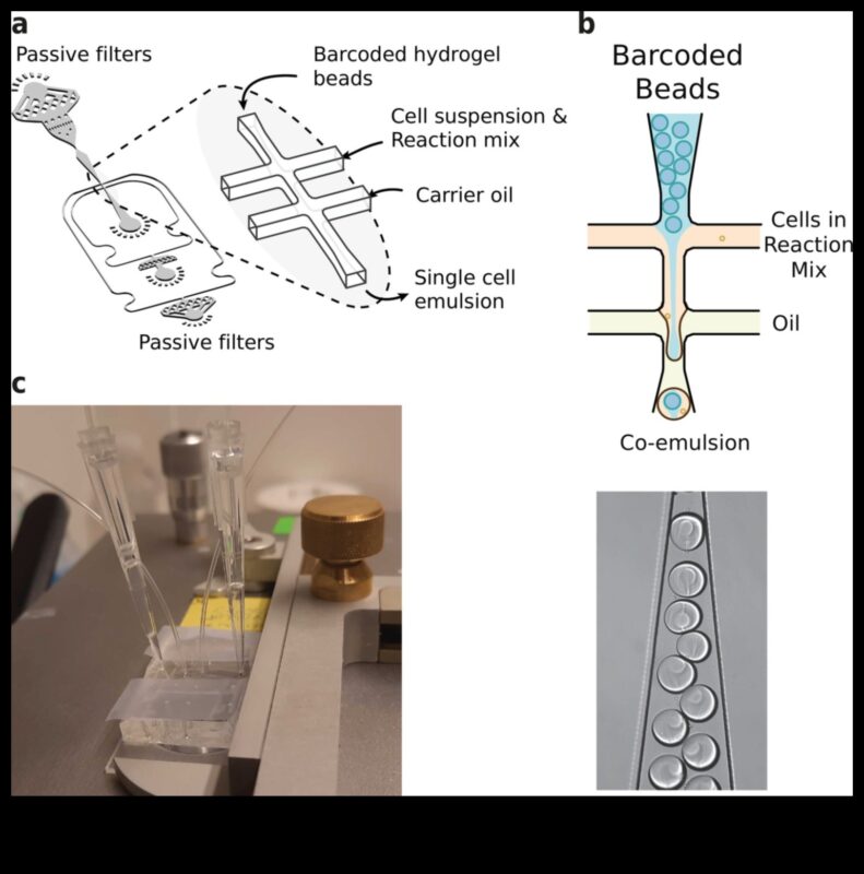טיפות דינמיות: שליטה בטכניקות ללכידת האלגנטיות של חרוזי מים