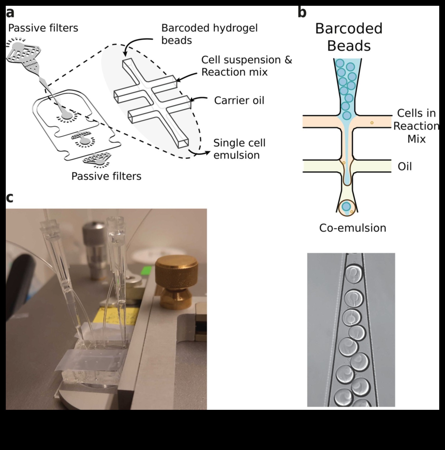 טיפות דינמיות: שליטה בטכניקות ללכידת האלגנטיות של חרוזי מים