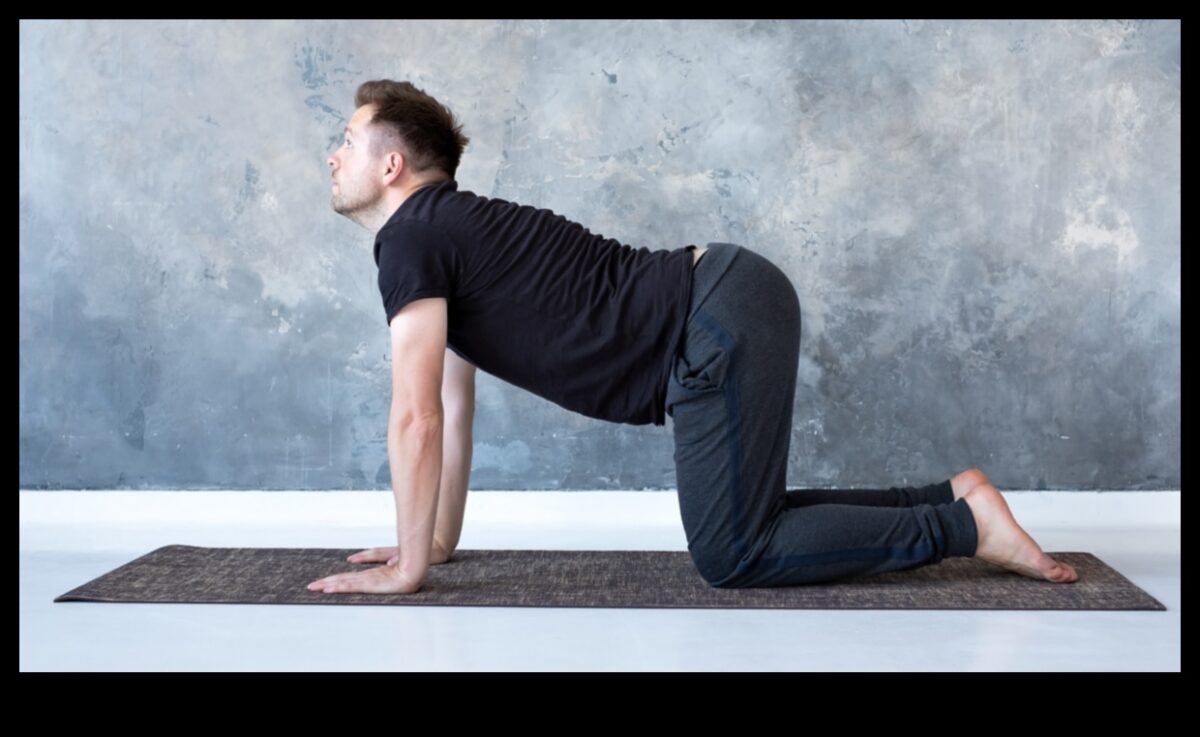 סימפוניה יוגה: הרמוניזציה של גוף ונפש בכושר