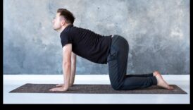 סימפוניה יוגה: הרמוניזציה של גוף ונפש בכושר