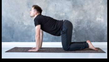 סימפוניה יוגה: הרמוניזציה של גוף ונפש בכושר