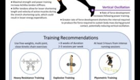 עליית סיבולת: כיצד פעילות גופנית מגבירה את הסיבולת והסיבולת