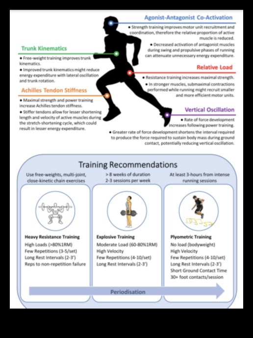 עליית סיבולת: כיצד פעילות גופנית מגבירה את הסיבולת והסיבולת