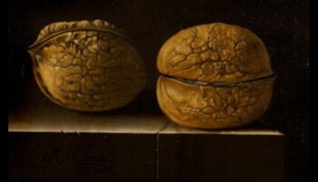 לכידת שתיקה: טבע דומם בריאליזם מפורט