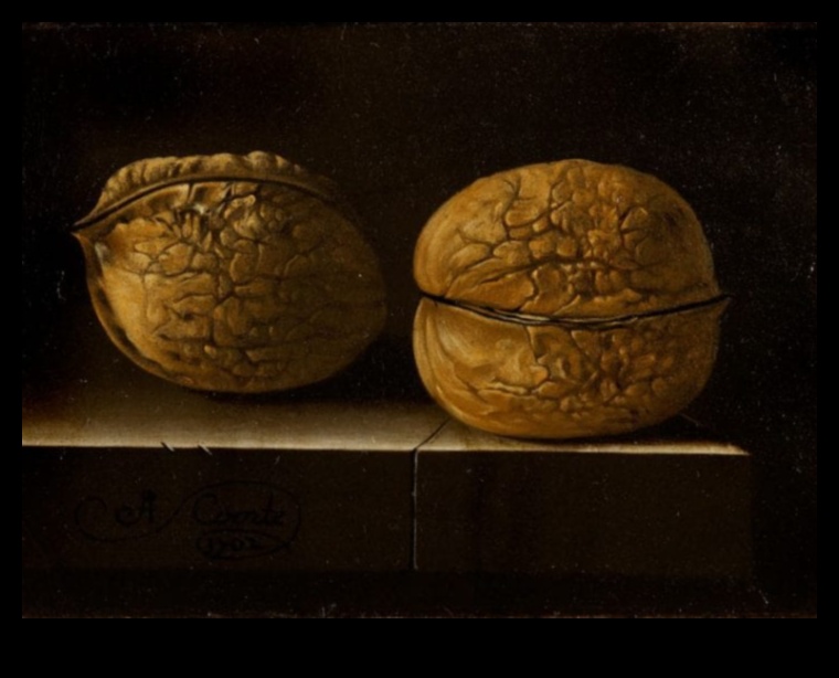 לכידת שתיקה: טבע דומם בריאליזם מפורט