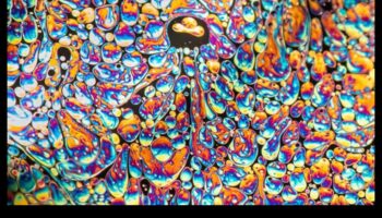 תקצירי צילום עשה זאת בעצמך: חקירת ביטוי יצירתי