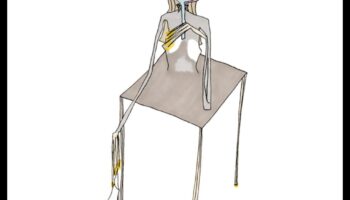 רגעי מנוחה: שרטוט השקט של אובייקטים